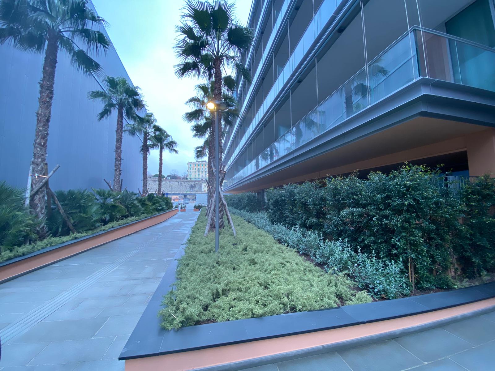 waterfront (7)