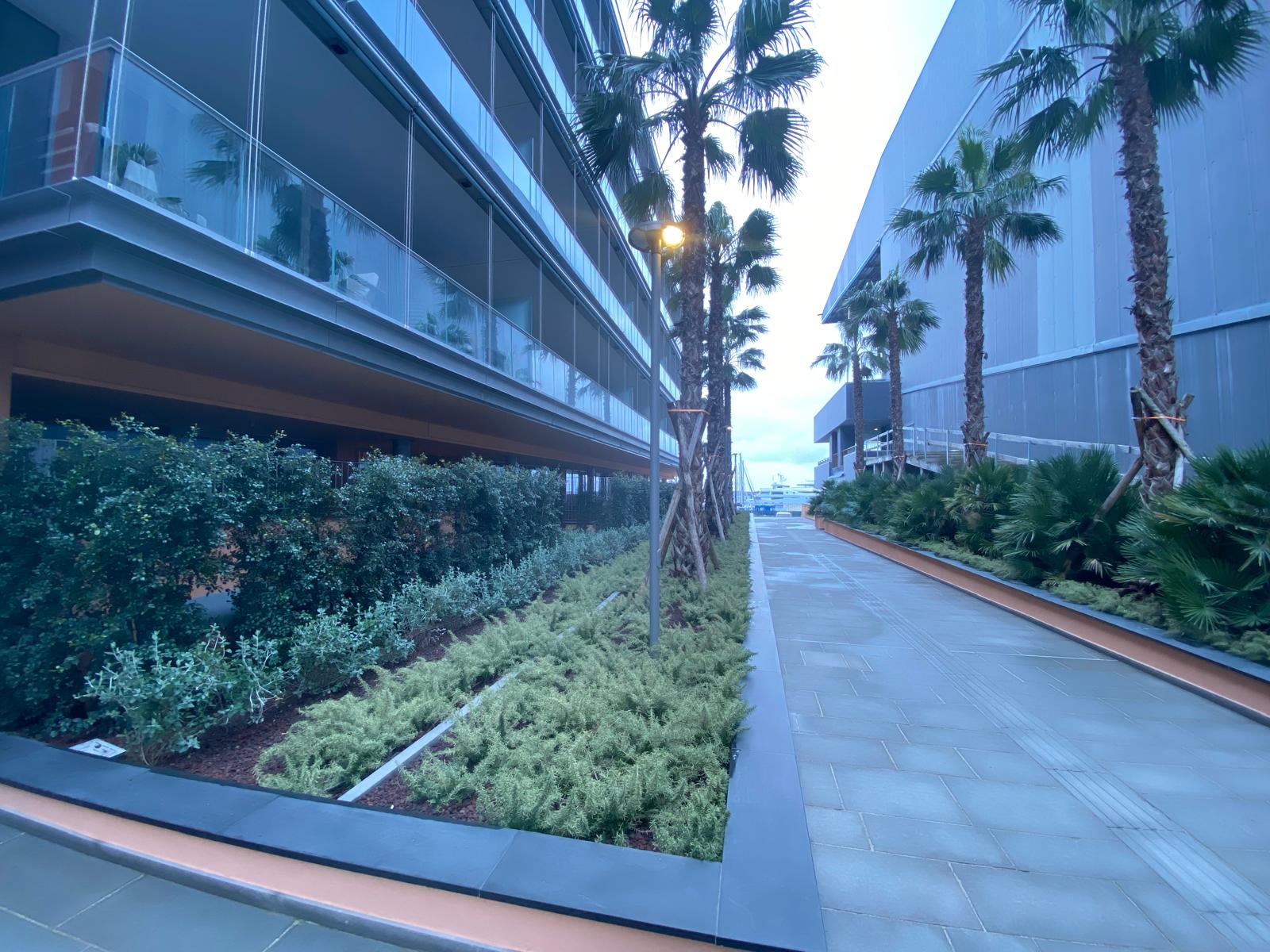 waterfront (8)